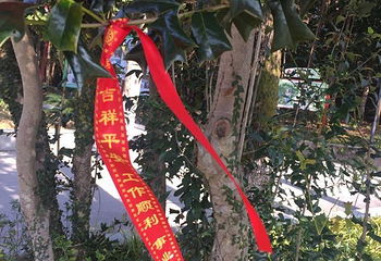 九岭森林温泉度假村第 40 张图片