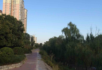 渭河公园第 6 张图片