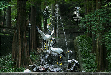芦花荡公园第 9 张图片