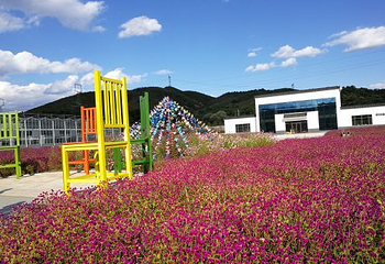 大梨树生态旅游区第 45 张图片