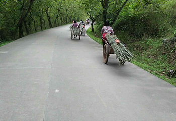 燕岩第 20 张图片