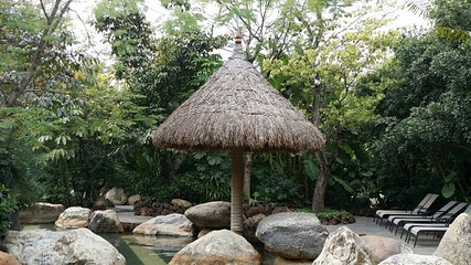 保山蒲缥温泉度假村第 11 张图片