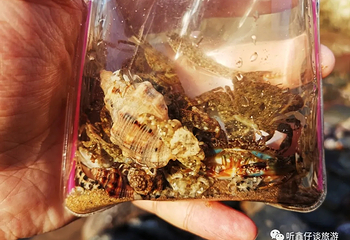 南湾海滨浴场第 11 张图片