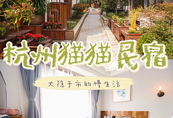 青芝坞第 23 张图片