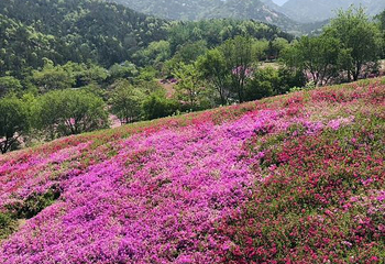 昆嵛山石门里景区第 11 张图片