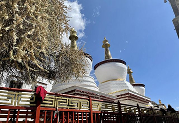扎什伦布寺第 62 张图片