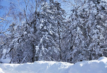 雪乡大宝滑雪场第 15 张图片