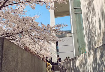 同济大学(四平路校区)第 29 张图片