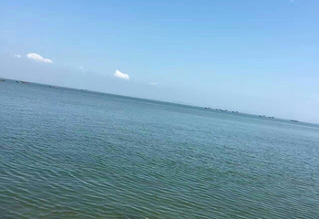 大连老虎滩海上观光船第 10 张图片