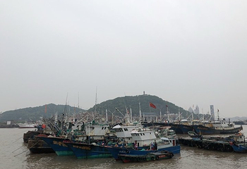 沈家门渔港第 25 张图片