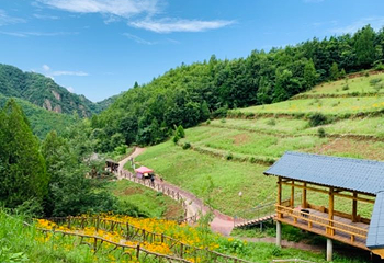 九龙山景区第 20 张图片