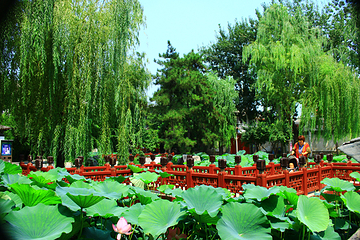 北京大观园第 50 张图片