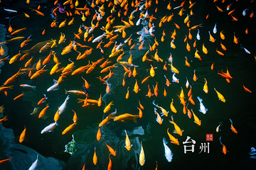 长屿硐天第 56 张图片