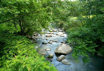 八仙飞瀑潭景区-萝卜潭第 37 张图片