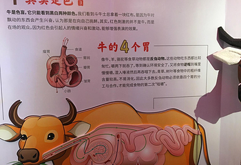 厦门科技馆第 95 张图片