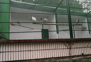 朱鹮生态园第 20 张图片