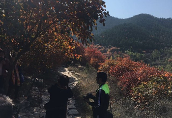 官护山第 13 张图片