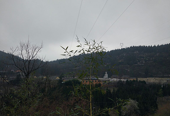 筇竹寺第 22 张图片