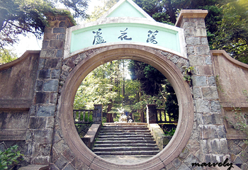 芦花荡公园第 4 张图片