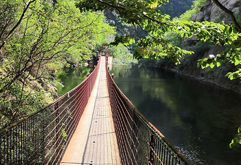八仙山自然保护区第 30 张图片