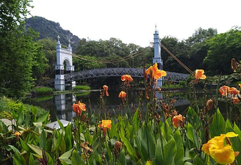 龙潭公园第 45 张图片