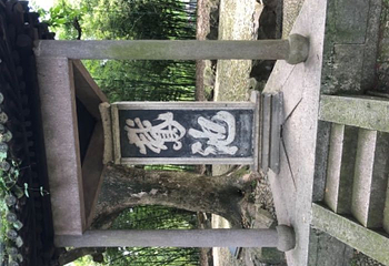 青藤书屋第 16 张图片