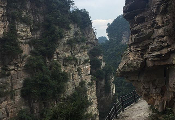 杨家界索道第 15 张图片