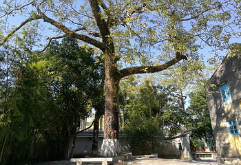 杨殷故居第 2 张图片