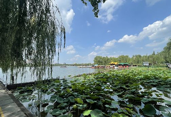 李清照纪念堂第 16 张图片