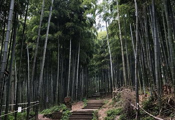 燕东生态观光园第 14 张图片