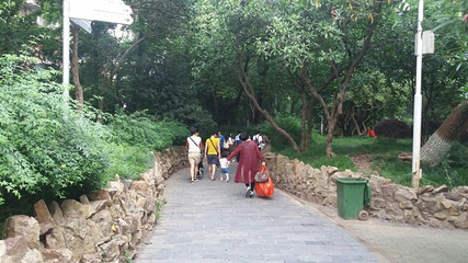 中山公园第 31 张图片
