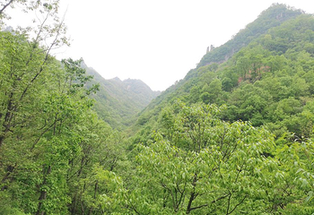 西泰山第 13 张图片