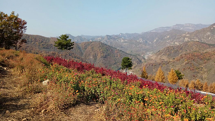 南天丽景风景区第 15 张图片