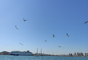 大连滨海国家地质公园第 26 张图片