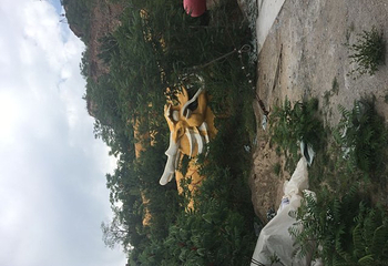 安家沟生态旅游区第 28 张图片