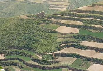 关山森林公园第 15 张图片