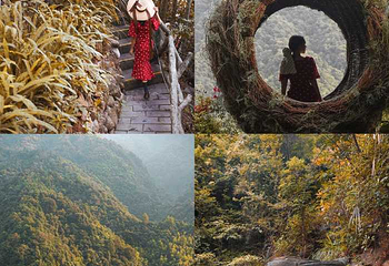 莽山森林温泉第 46 张图片