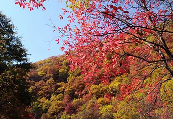 筐子沟生态风景区第 31 张图片