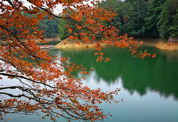 赣州阳明湖景区第 14 张图片