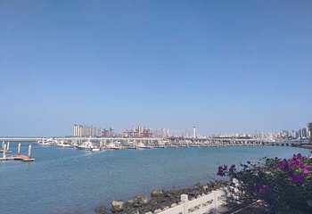 海口市国家帆船基地公共码头第 20 张图片