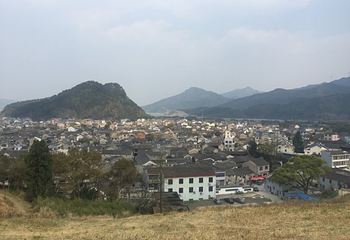 柳城洲尾农庄第 18 张图片