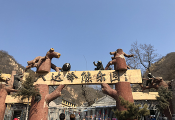 朝阳剧场杂技第 30 张图片