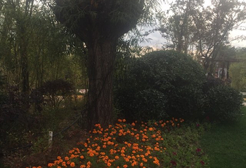 银川花博园第 55 张图片