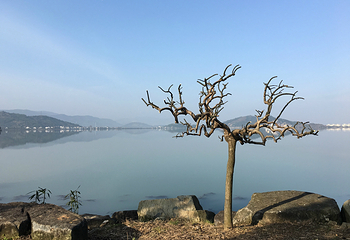 达蓬山旅游度假区第 28 张图片