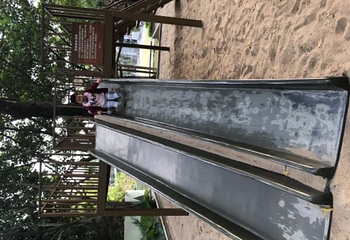 岭南印象园第 171 张图片