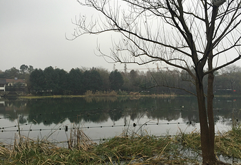 乌龟潭景区第 14 张图片