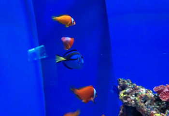 长春中泰海洋世界第 48 张图片