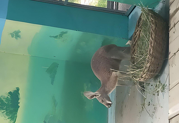 济南动物园第 56 张图片