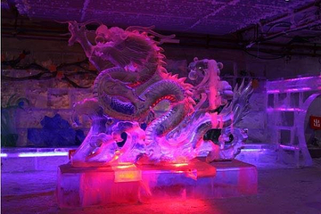 中俄蒙国际冰雪乐园第 33 张图片