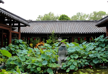 青秀山第 27 张图片